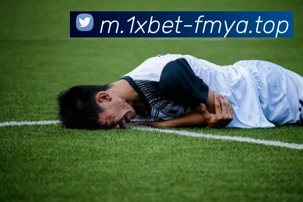 1xbet官网平台生态图