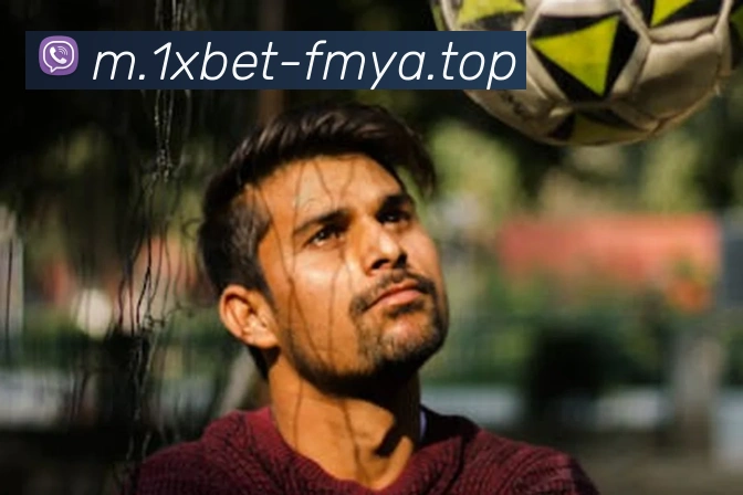 企业概况